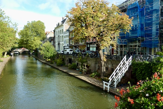 Oude gracht utrecht met werfkelders en een boom